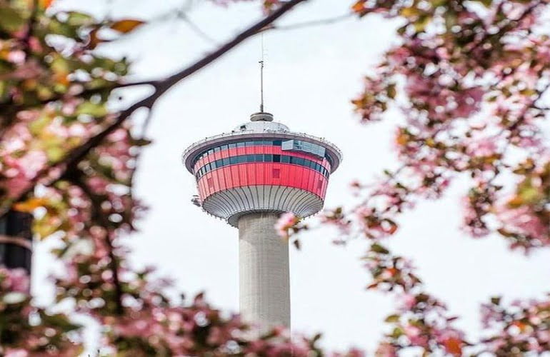 دانستنی های آلبرتا