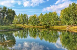 Carburn Park