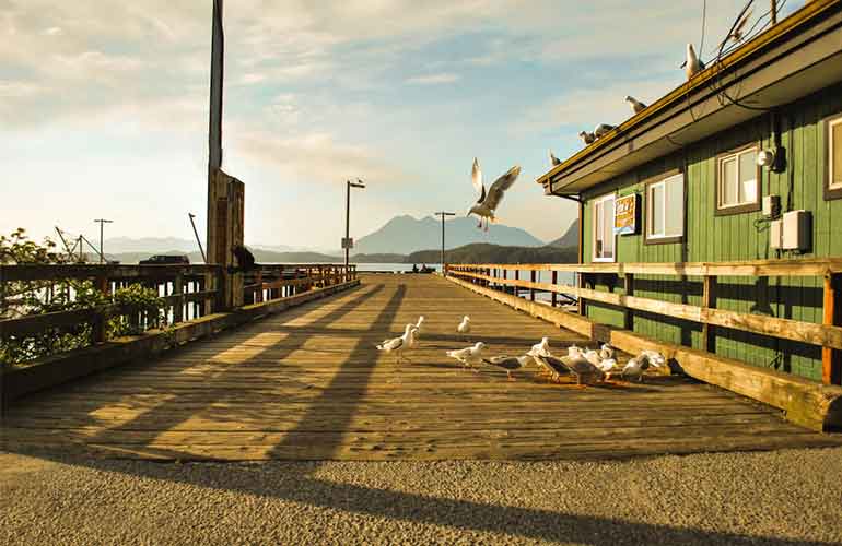 جزیره Tofino در بین برترین جزایر جهان !