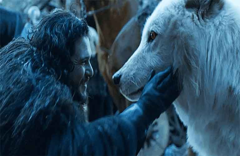 کشف فسیل گرگ Game of Thrones در آلبرتا !