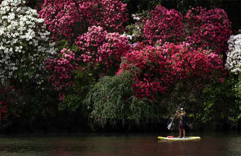 بهترین مکان‌ها برای بازدید مهاجران تازه وارد در کانادا